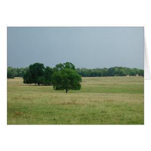 Cartão Paisagem de Alabama