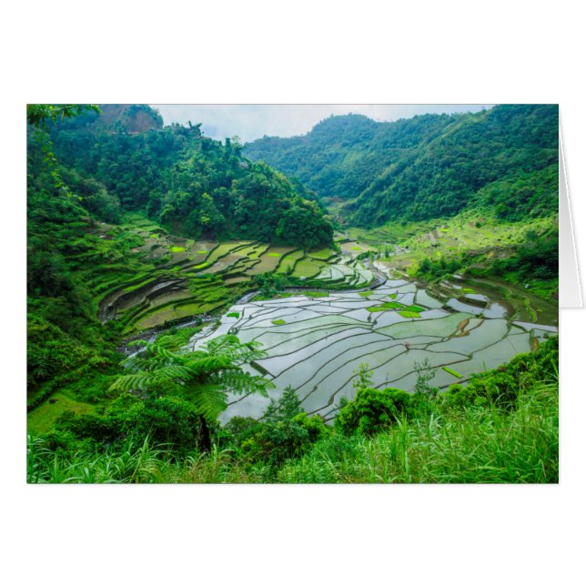 Cartão Paisagem de arroz, Filipinas (Frente Horizontal)