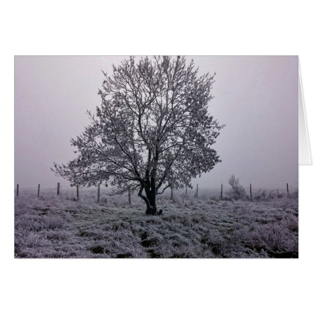 Cartão Paisagem de Árvore de Inverno (Frente Horizontal)