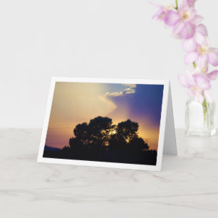 Cartão Paisagem de Árvore Silhueta