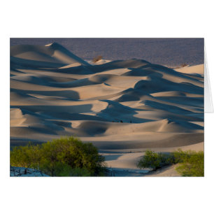 Cartão Paisagem de dunas de areia, Califórnia