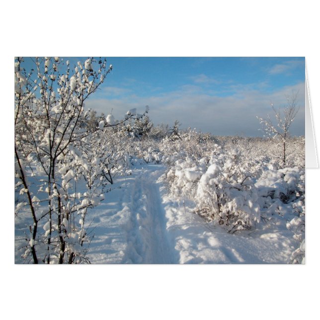 Cartão Paisagem de inverno (Frente Horizontal)