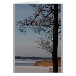 Cartão Paisagem de inverno com árvore CC0370