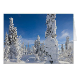 Cartão Paisagem de inverno em Lappland