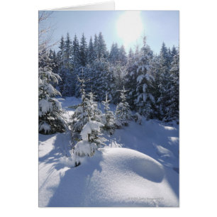 Cartão Paisagem de inverno fria com neve 2
