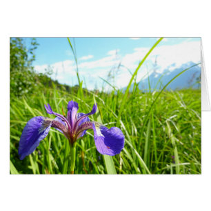Cartão Paisagem de Iris e do Alasca