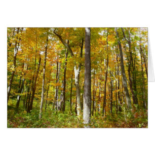 Cartão Paisagem de outono de Folhas Amarelas na Floresta