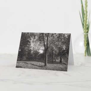 Cartão Paisagem de outono, Parque de Bute, Cardiff