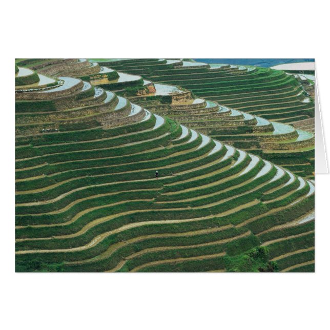 Cartão Paisagem de terraços de arroz na montanha, 3 (Frente Horizontal)