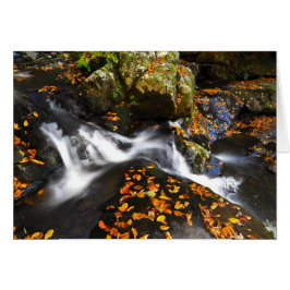 Cartão Paisagem do outono em quedas Spruce dos