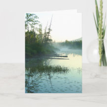 Paisagem do pântano da água da árvore