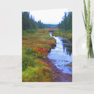 Cartão Paisagem do rio do outono