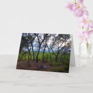 Cartão Paisagem Florestal Espanhola