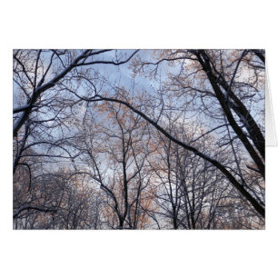 Cartão Paisagem Natural da Manhã de inverno II