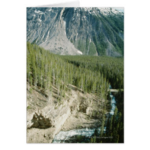 Cartão Paisagem robusta no Banff National Park, Canadá