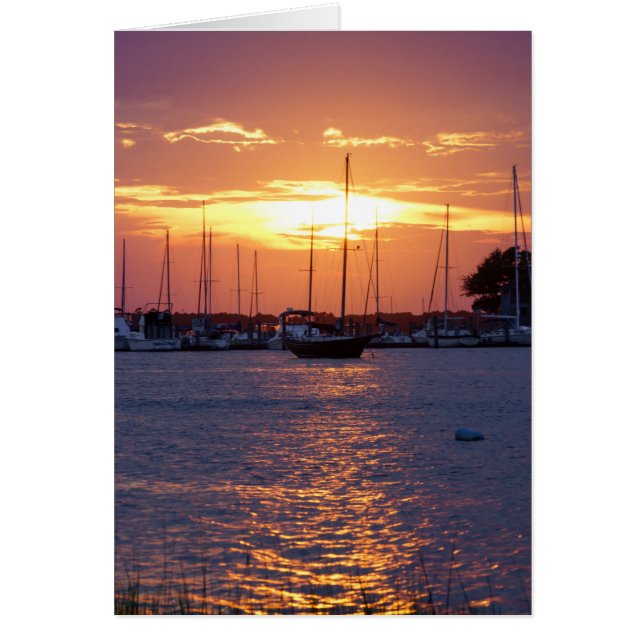 Cartão Paixão Roxo Sunset (Frente)