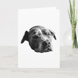 Cartão Palavras Quentes, Sombra Suave