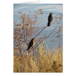 Cartão Palavras simples da apreciação de feltro do