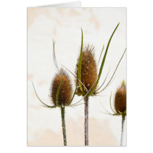 Cartão palitos na abstrato