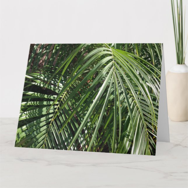 Cartão Palm Fronts Fine Art Nature Fotografia (Frente)