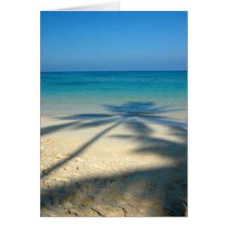 Cartão Palm, Lanikai Beach