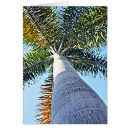 Cartão Palm Tree