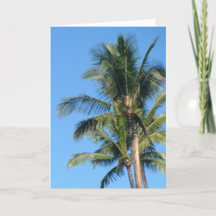 Cartão *Palm Tree* Blank Greeting Card