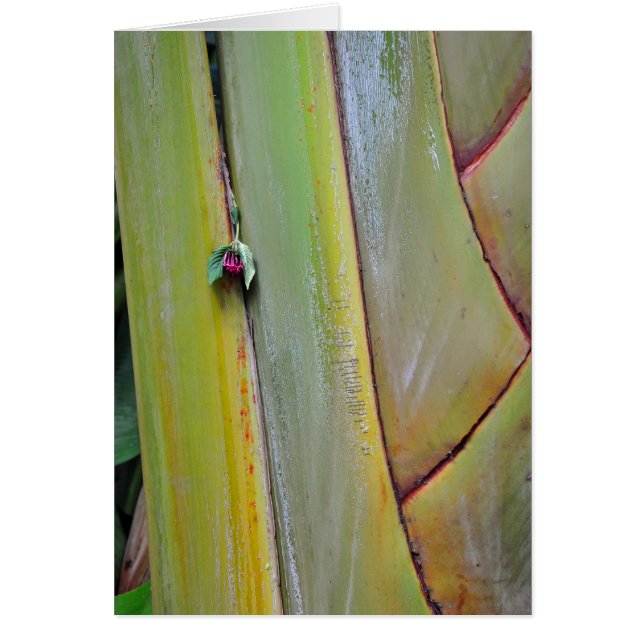 Cartão Palm Tree de Viajantes (Frente)