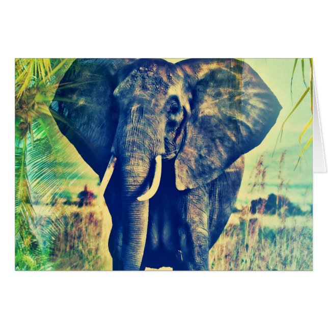 Cartão Palmas de elefante (Frente Horizontal)