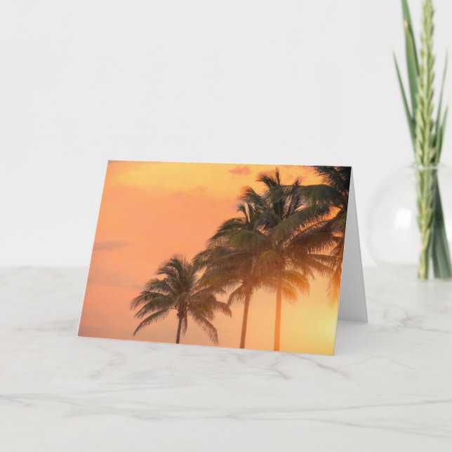 Cartão Palmas de Miami (Frente)