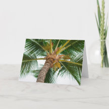 Palmeira de para baixo abaixo