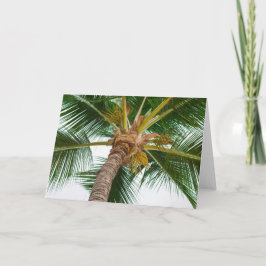 Cartão Palmeira de para baixo abaixo