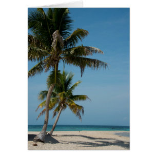 Cartão Palmeira e praia de areia branca