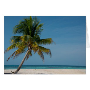 Cartão Palmeira e praia de areia branca 2