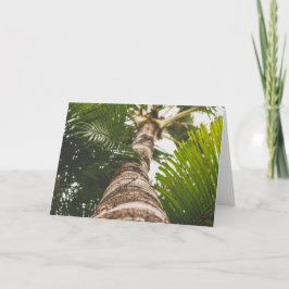 Cartão Palmeira mexicana de baixo de