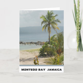 Cartão Palmeira, Montego Bay Jamaica junho de 2011