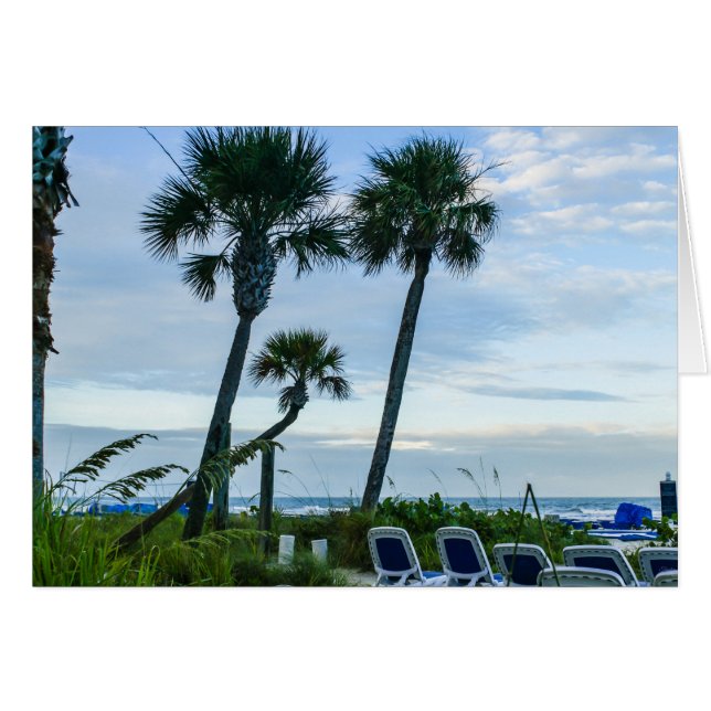 Cartão Palmeiras tortas (Frente Horizontal)