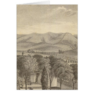 Cartão Palmer res, vinha