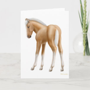 Cartão Palomino Foal Greeting Card