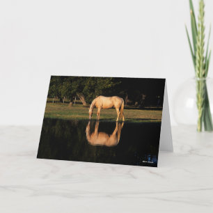 Cartão Palomino Grazing Por Lago Com Reflexão