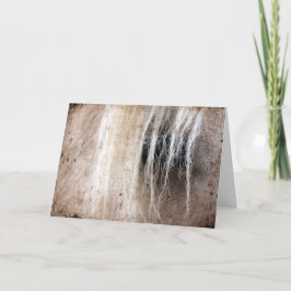 Cartão Palomino Horse Grunge Birthday