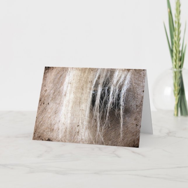 Cartão Palomino Horse Grunge Birthday (Frente)