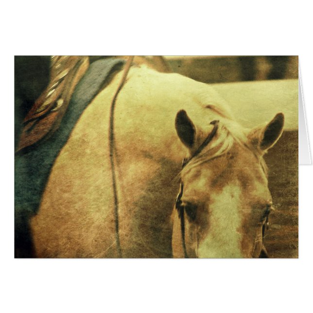 Cartão Palomino Ocidental (Frente Horizontal)