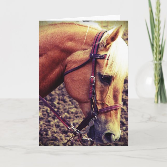 Cartão Palomino Ocidental (Frente)