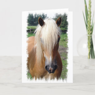 Cartão Palomino Quarter Horse Greeting Card