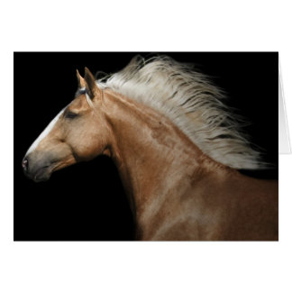 Cartão Palomino Stallion