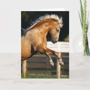 Cartão Palomino Tennessee Walker Stallion Rearing