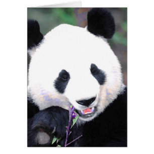 Cartão Panda
