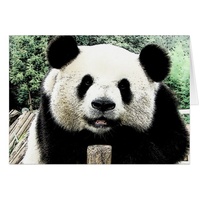 Cartão Panda (Frente Horizontal)