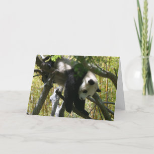 Cartão Panda #4